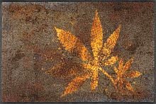 Коврик Kleen-Tex HERB BLEND (073270) 50х75