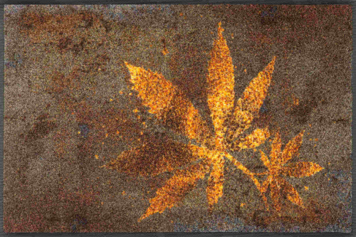 Коврик Kleen-Tex HERB BLEND (073270) 50х75 Артикул: 77406 LettoPerfetto